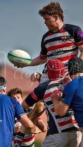 Image result for Novocastrians Rugby Football Club