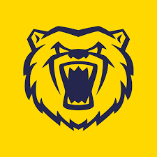 Image result for Birmingham Badminton Bears