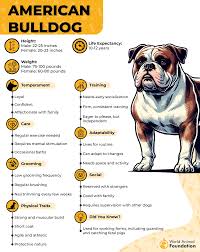 Image result for Bulldogs Power and strength