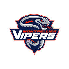 Image result for Glasgow Vipers Roller Hockey Club