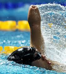 Image result for Swansea Finswimming Club