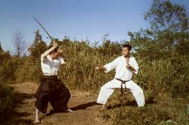 Image result for Windsor Higashi Karate Club