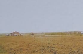 Image result for Newport Croquet Club