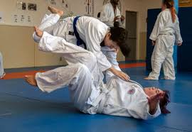 Image result for Sneyd Judo Club