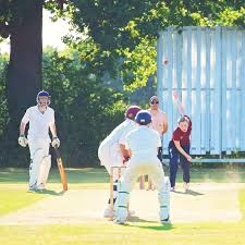 Image result for Edenbridge Cricket Club