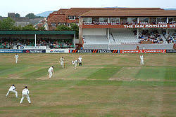 Image result for Taunton Cricket Club