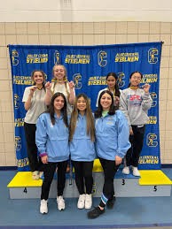 Image result for Addison Badminton Club