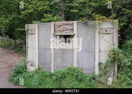 Image result for Basingstoke Bullets