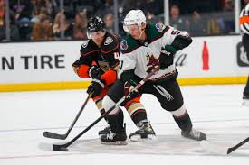 Image result for stehr tehron