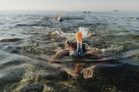 Image result for Swimming Skills Cornwall | St Ives