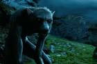 Werewolf - Harry Potter Wiki