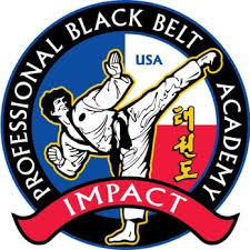 Image result for Impact Martial Arts