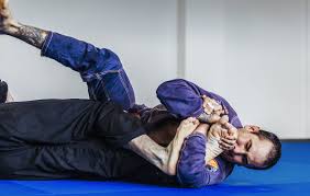 Image result for Hachidori ju-jitsu Martial Arts
