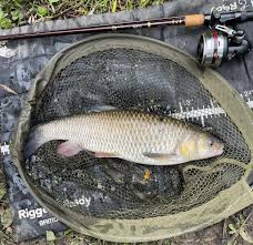 Image result for Plough Angling Society