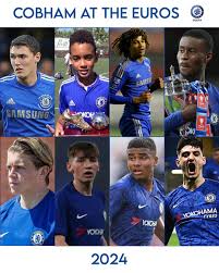 Image result for Cobham