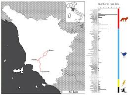 Image result for maiden Erlegh Subbuteo Club
