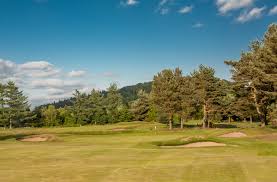 Image result for Forfar Golf Club