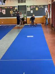 Image result for Liddesdale Short Mat Bowling Club