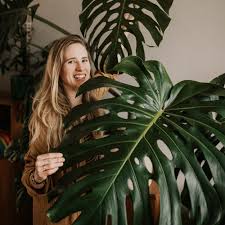 Attēlu rezultāti vaicājumam “leaf”