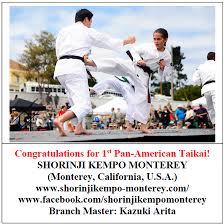 Image result for Tolworth Shorinji Kempo Branch