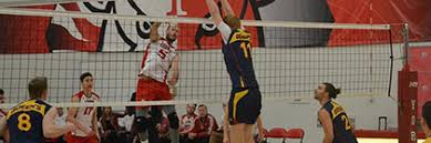 Image result for York University Volleyball Club