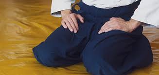 Image result for West Midlands Aikido Association Dojo