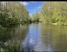 Image result for Bay Malton Angling Club