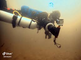 Image result for Aylesbury Ducks Sub Aqua Club