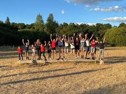 Image result for Chiddingfold Branch Of The Pony Club
