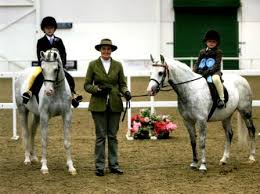 Image result for Liverpool Equestrian Club