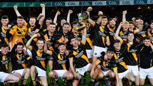 Image result for Shamrocks Hurling & Football Club