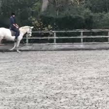 Image result for Elstead Riding Club