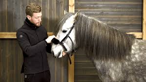 Image result for Carman Stables