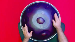 Attēlu rezultāti vaicājumam “Amara sp.”