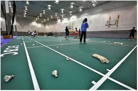 Image result for Cegelec Badminton Club