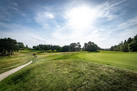 Image result for Elgin Scrabble Club