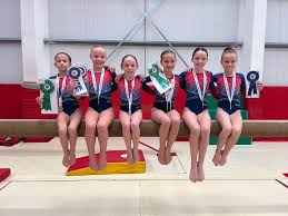 Image result for Carousel School Of Gymnastics