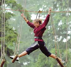 Image result for Go Ape! Whinlatter