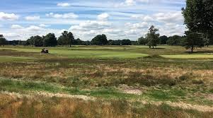 Image result for Walton Heath Golf Club