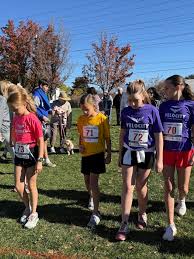 Image result for Velocity PK Parkour Club