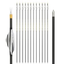 Image result for Silver Arrow Archery