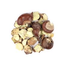 Attēlu rezultāti vaicājumam “Aesculus hippocastanum fruit”