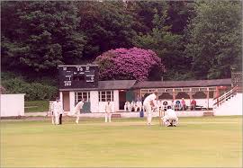 Image result for Lintz Cricket Club