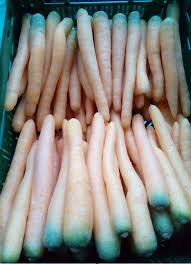 Image result for Möhren