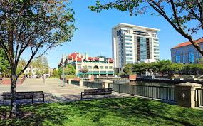 Image result for U3A Stockton SG