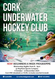 Image result for Dublin Underwater Hockey Team