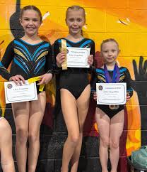 Image result for City Of Hull Olympic Gymnastics Club