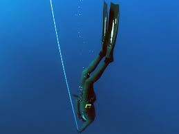Image result for Duchy Divers