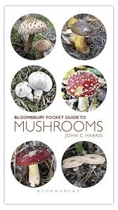 Attēlu rezultāti vaicājumam “Hymenoscyphus fructigenus var. coryli”