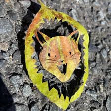 「レオ・クリストフ」の画像検索結果